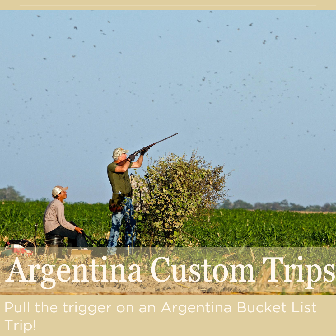 Waterfowl and big game hunts in Argentina