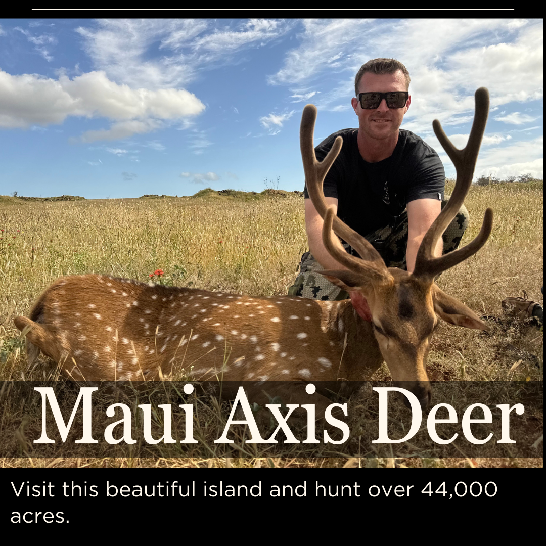 Maui Deer Hunt