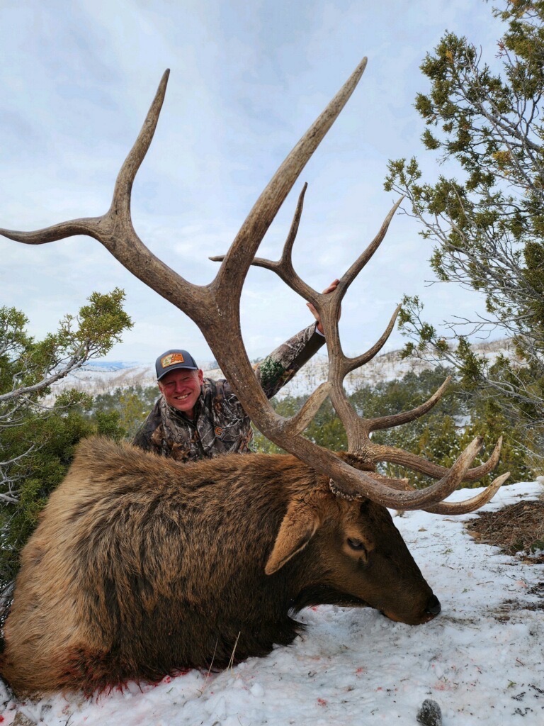 Nevada bull elk hunt