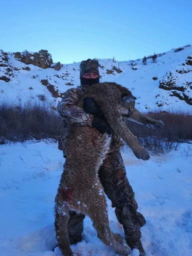 Nevada mountain lion hunt