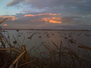 California Waterfowl Properties, blinds available