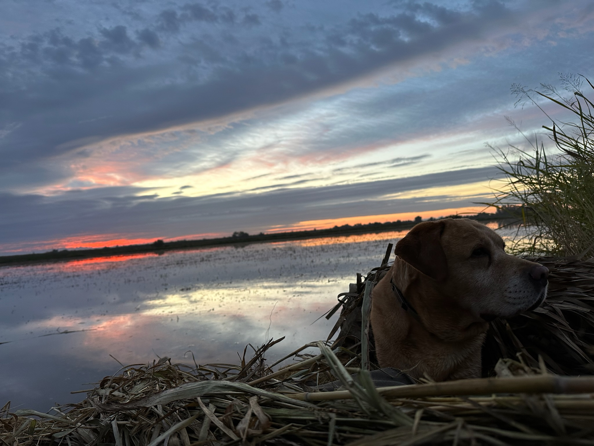 California Waterfowl Properties, blinds available