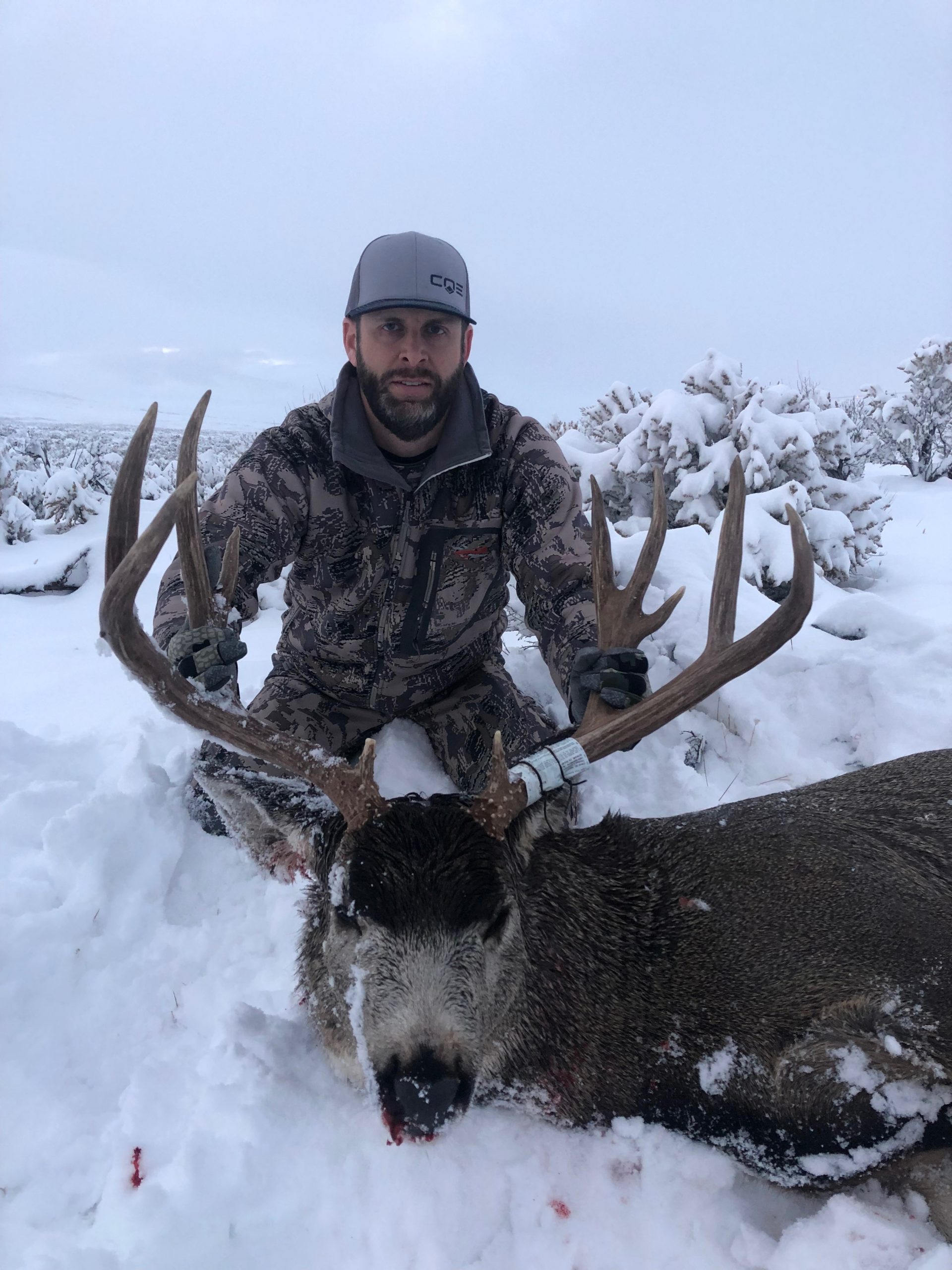Nevada mule deer hunt