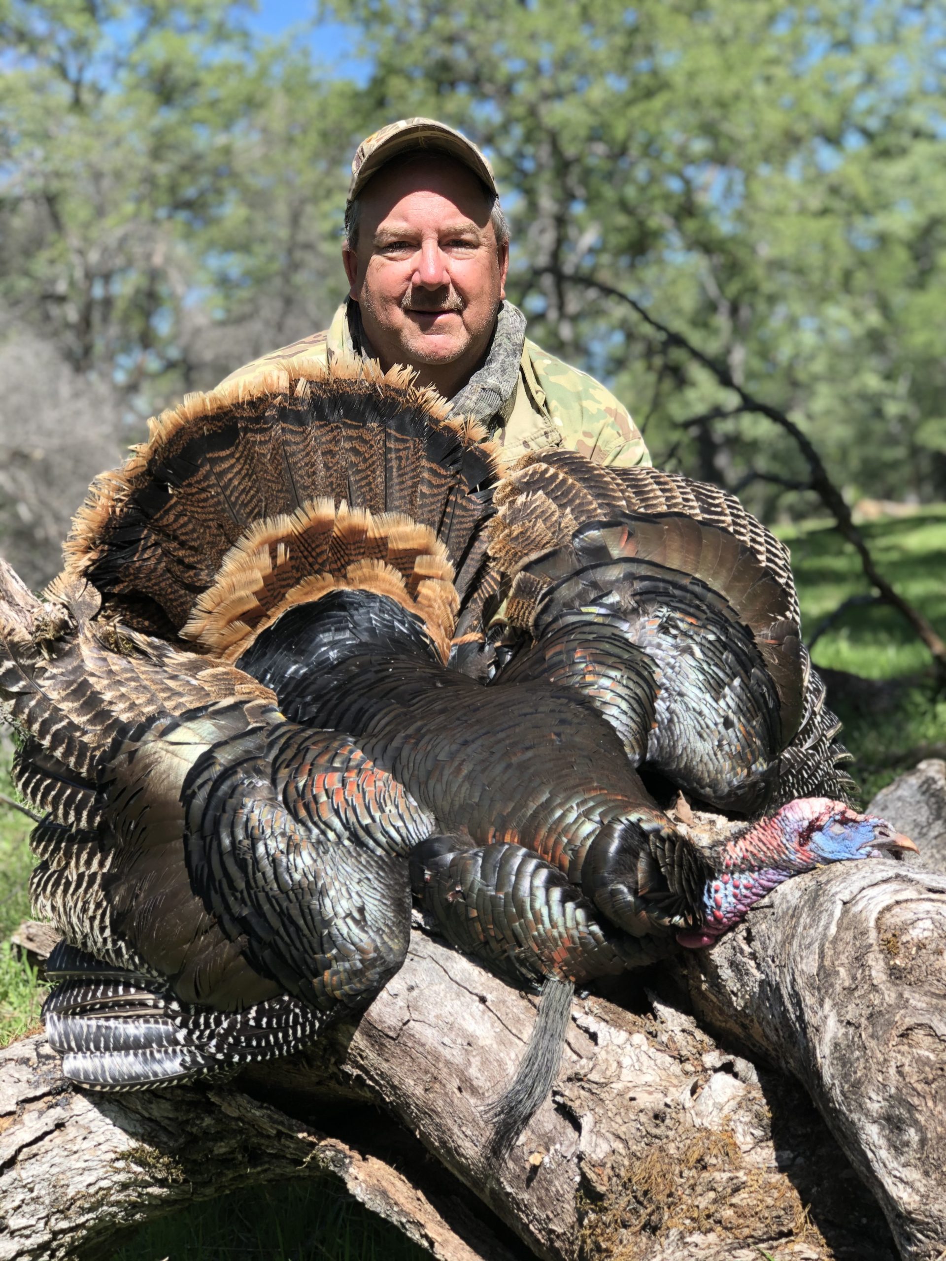 California Turkey Hunt